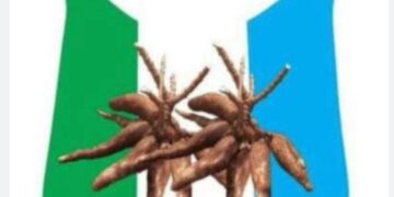 APM Re-elects Dantale as National Chairman at Bauchi Convention