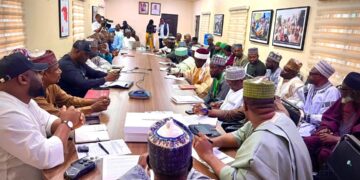 Kaduna’s Out-of-School Rescue Mission: A Model for Nigeria