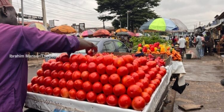 FG moves to boost food production, improve distribution as harvest season begins