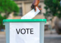 Osun Decides: Observers Hail Peaceful Poll, Massive Voter Turnout