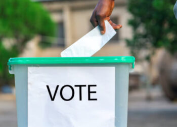 Osun Decides: Observers Hail Peaceful Poll, Massive Voter Turnout