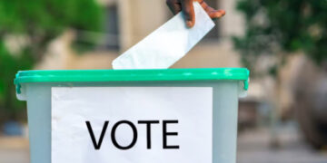 Osun Decides: Observers Hail Peaceful Poll, Massive Voter Turnout