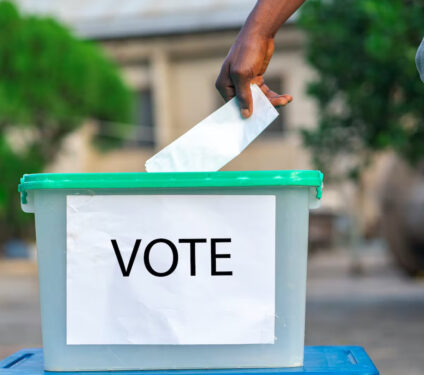 Osun Decides: Observers Hail Peaceful Poll, Massive Voter Turnout