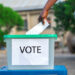 Osun Decides: Observers Hail Peaceful Poll, Massive Voter Turnout