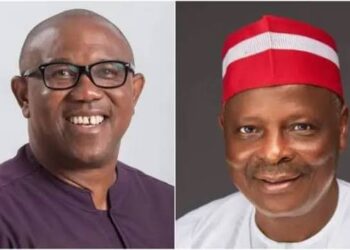 NDC South-East Targets One Million Votes for Obi/Kwankwaso in 2027