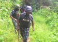 Jigawa Police Nab Two Nigeriens, Nine Others in Cattle Rustling Bust