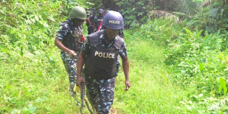 Jigawa Police Nab Two Nigeriens, Nine Others in Cattle Rustling Bust