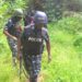 Jigawa Police Nab Two Nigeriens, Nine Others in Cattle Rustling Bust