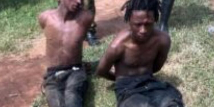 Army Rescues Retired General’s Wife, Arrests Two Kidnap Suspects