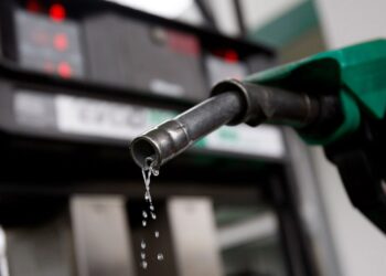 2007: I’ll crash petrol price to N200 per litre within 1 year – Adebayo