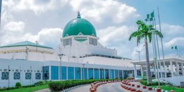 Xenophobic attacks: NASS suspends official engagements to South Africa