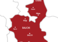 Police confirm ex-APC women leader murdered in Bauchi