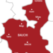 Police confirm ex-APC women leader murdered in Bauchi
