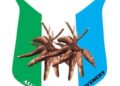 CAN award validates Makinde’s presidential ambition, says APM chair