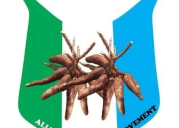 CAN award validates Makinde’s presidential ambition, says APM chair