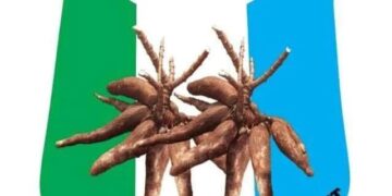 CAN award validates Makinde’s presidential ambition, says APM chair