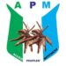 CAN award validates Makinde’s presidential ambition, says APM chair