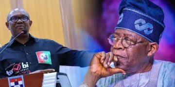 Ex-Obidient Leader Dumps Opposition, Backs Tinubu’s Re-election